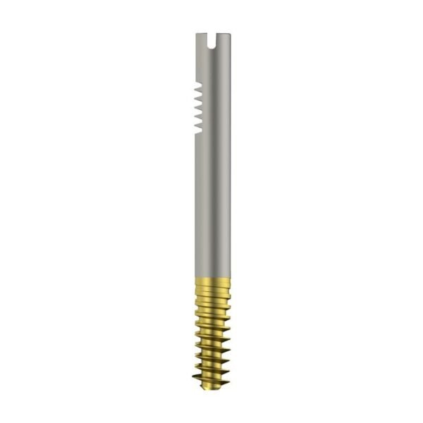DUROFIX Intertan Nail Cannulated LAG Screw - Dia. 11mm - Titanium