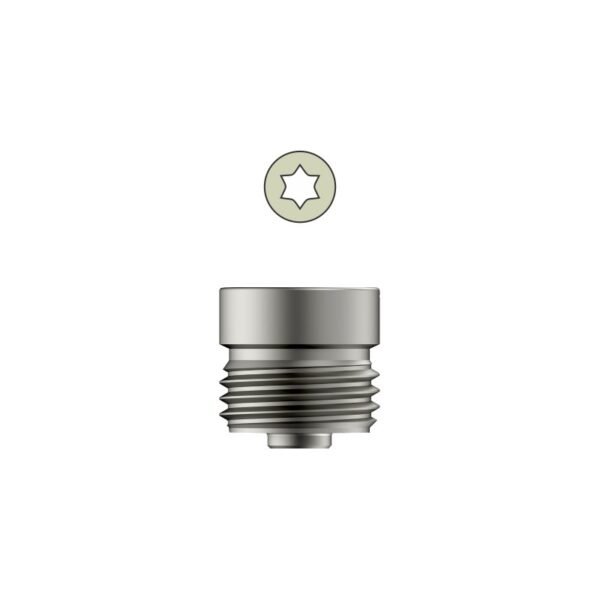 Tarsofix™ End Cap for Ankle Nail - Titanium
