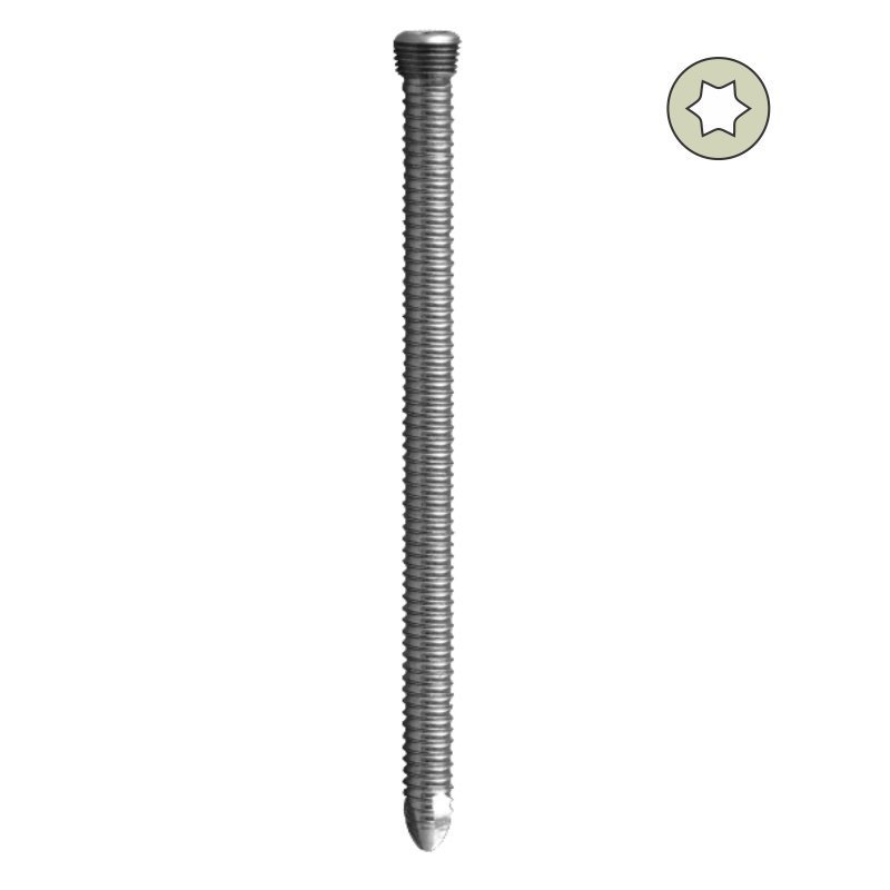 3.5mm Locking Head Star Drive Screw - Self Tapping - Titanium