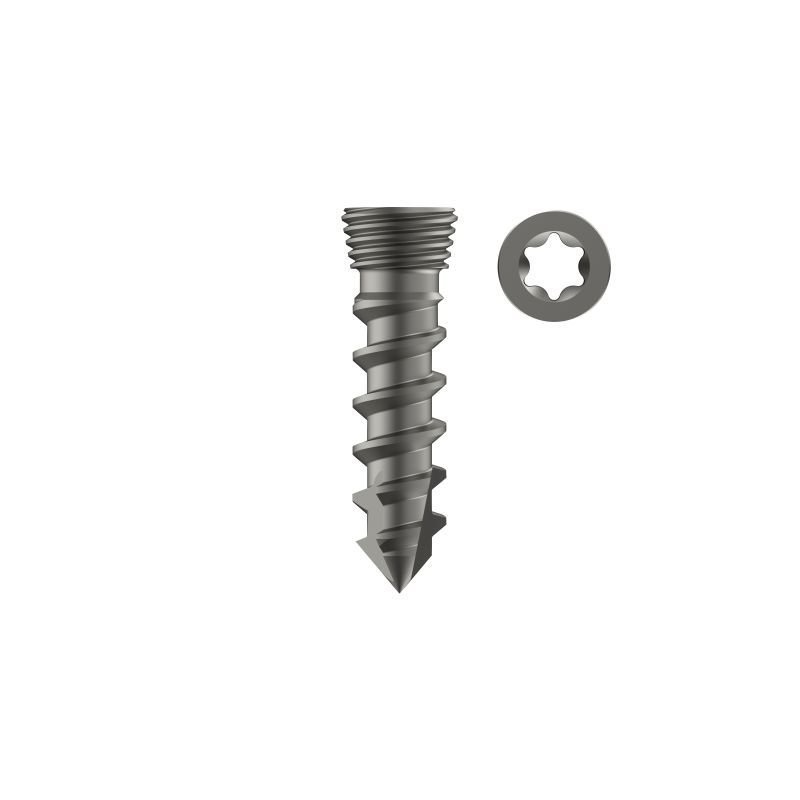 ACDF Standalone Locking Screw Self Tapping - Titanium