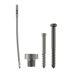 Aduera Expert Femur Nail Implant