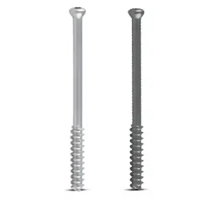 Cannulated Screws