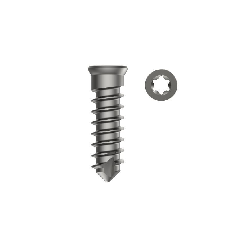 Corpectomy Cage Screw Self Tapping Dia. 4.0mm - Titanium