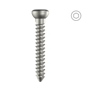 Cortical Screw 2.7mm Self Tapping (HEXDRIVE) – S.S.
