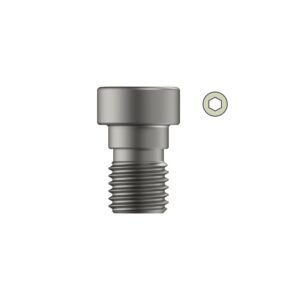 End Cap for Expert Tibia Nail -Titanium