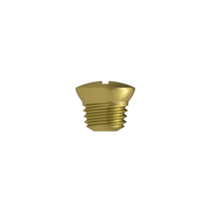 Fastening Cap – Titanium