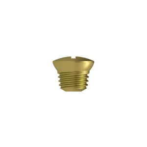 Fastening Cap – Titanium