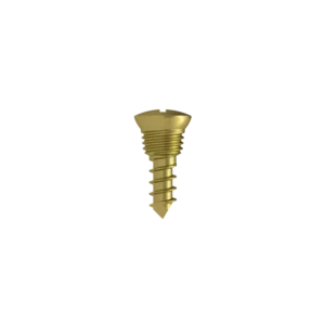 Fastening Screw Dia. 2.5mm