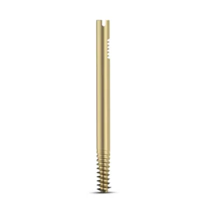 Intertan Nail Cannulated LAG Screw – Dia. 11mm – Titanium