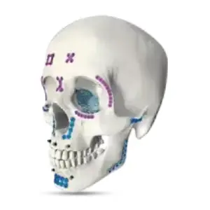 Maxillofacial Internal Fixation System