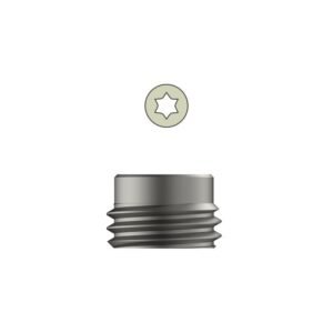 Tarsofix™ Inner Set Screw for Ankle Nail – Titanium