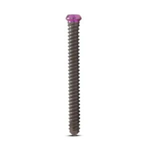 Tarsofix™ Proximal Locking Bolt for Ankle Nail (6mm Dia.)