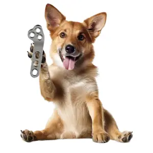 Veterinary Orthopedic Implants